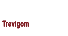 Trevigom Administradores